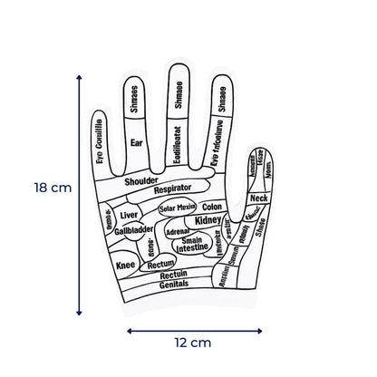 HandEase | Reflexology Gloves – Hand Pain Relief – Boost Circulation – Elastic Non‑Slip Fit – Acupressure Massage Therapy for Sore Hands at Home